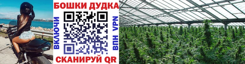 Все наркотики Камень-на-Оби A PVP  Амфетамин  ГАШ  Меф 