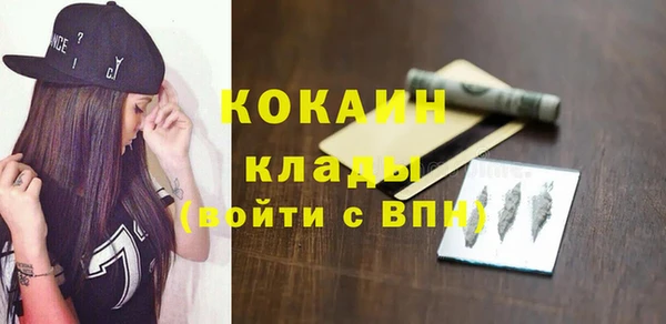 индика Армянск