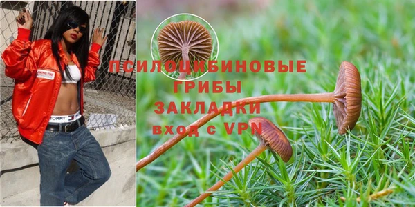 тгк Аркадак