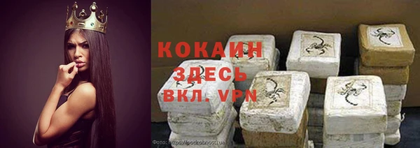 индика Армянск