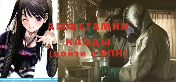 индика Армянск